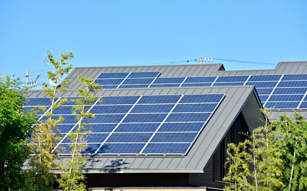 画像：サンプル